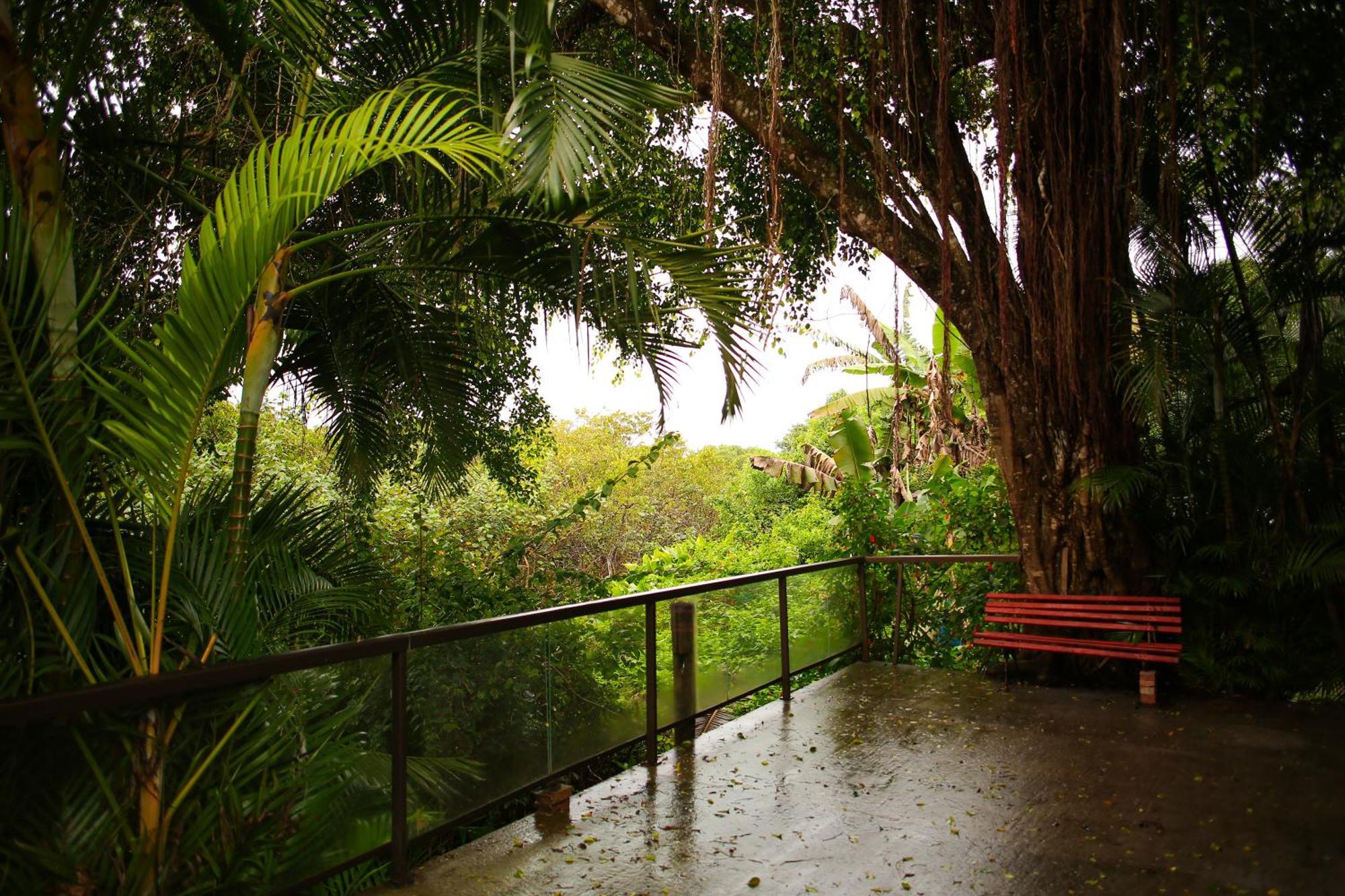 Pousada Villa Verde - Frente Para A Praia Do Farol Іля-ду-Мел Екстер'єр фото